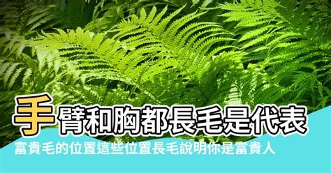 夢到手長毛|發夢夢到手上長毛是什麼意思